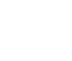 Ford car manufacturer logo
